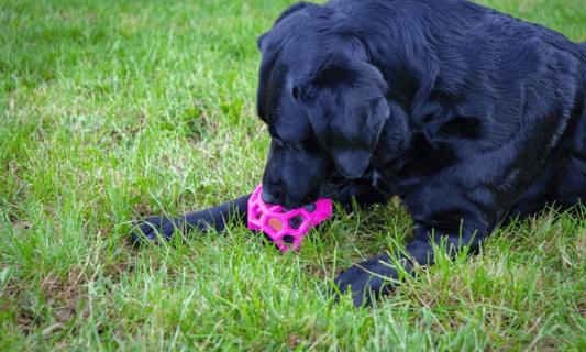 Moonstone Traktatiekubus