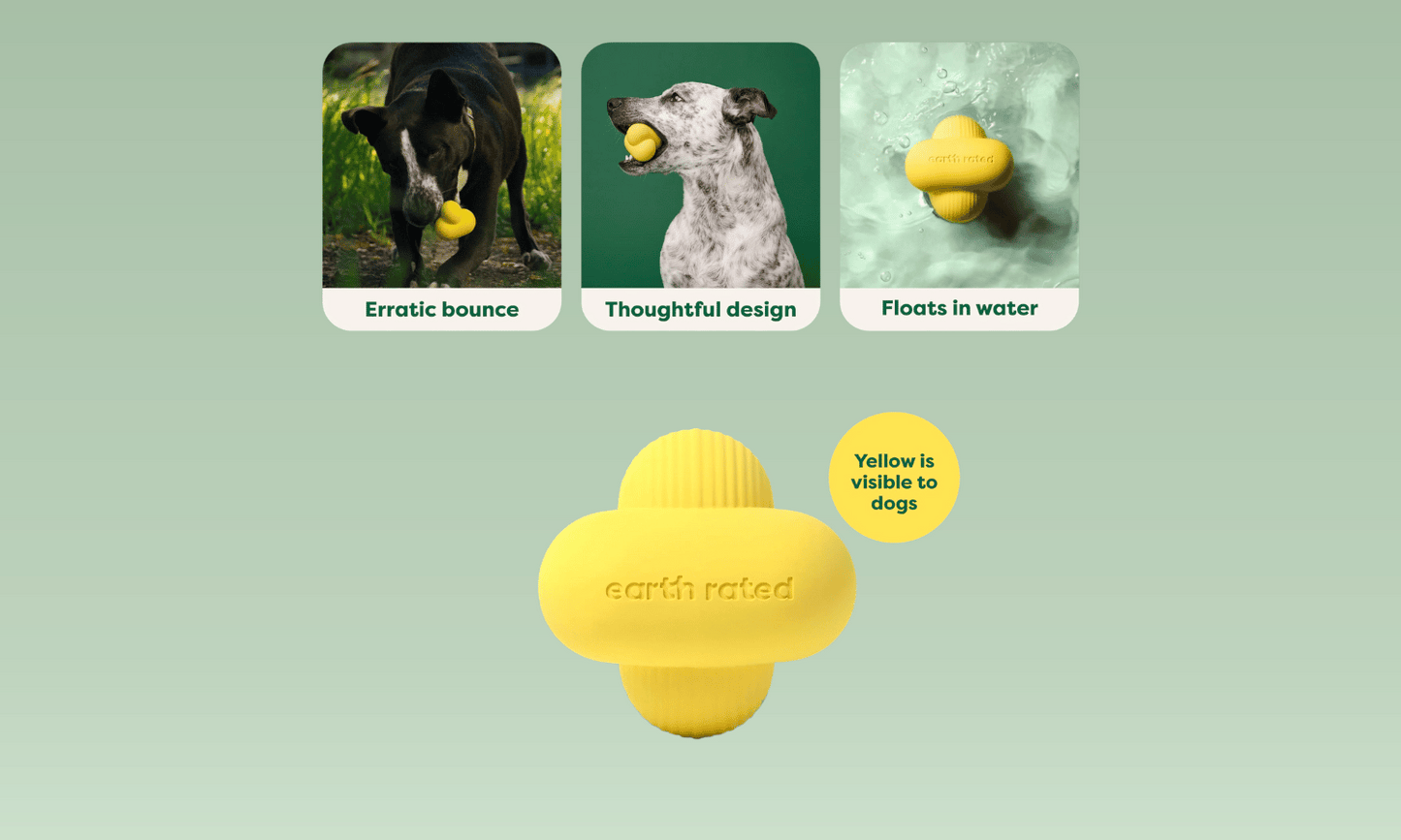 Fetch Toy - Earth Rated