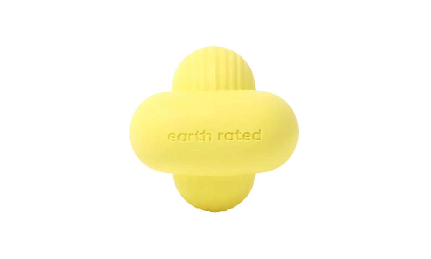 Fetch Toy - Earth Rated