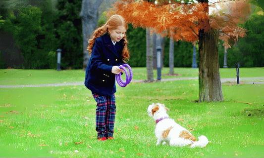 Bijt- en apporteer speelgoed - Ferplast