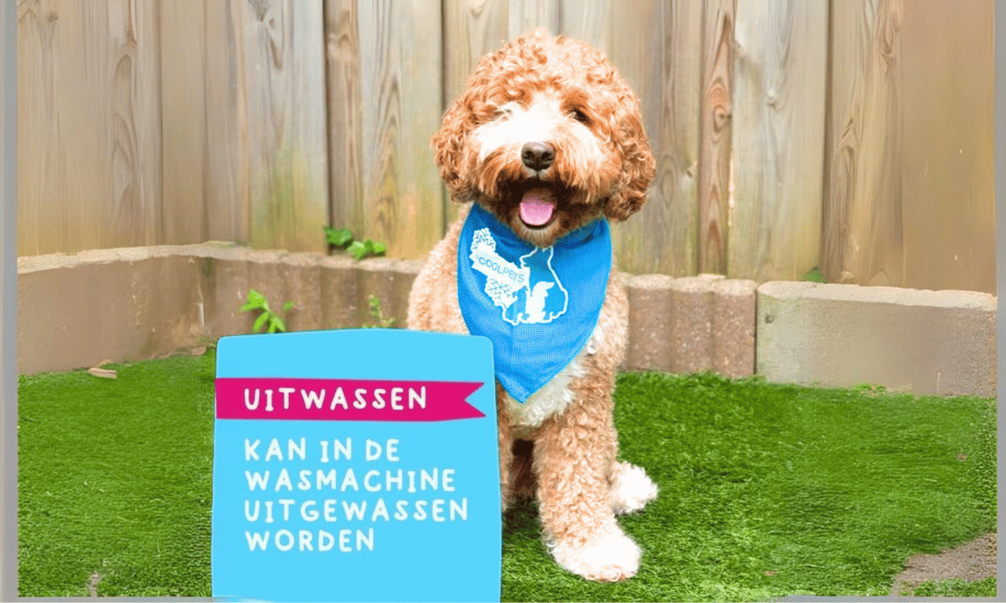 Verkoelende bandana