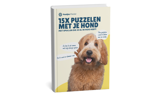 15x Puzzelen met je hond - Met spullen die je al in huis hebt! (PDF)