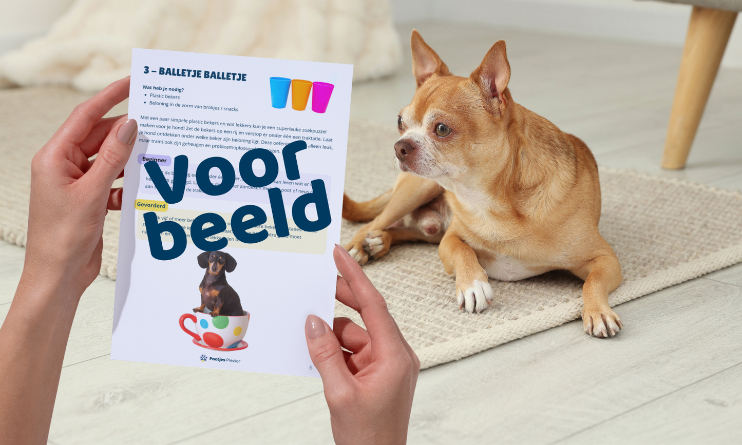 15x Puzzelen met je hond - Met spullen die je al in huis hebt! (PDF)