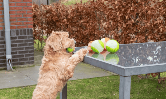 Moon Bal Glow in the Dark - Groot: L 10cm