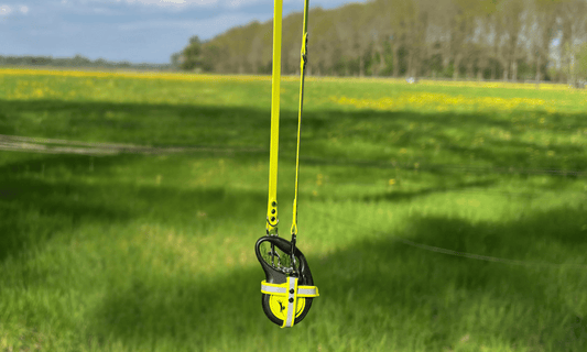 BioThane Handsfree Holster - Flexi Rollijnen