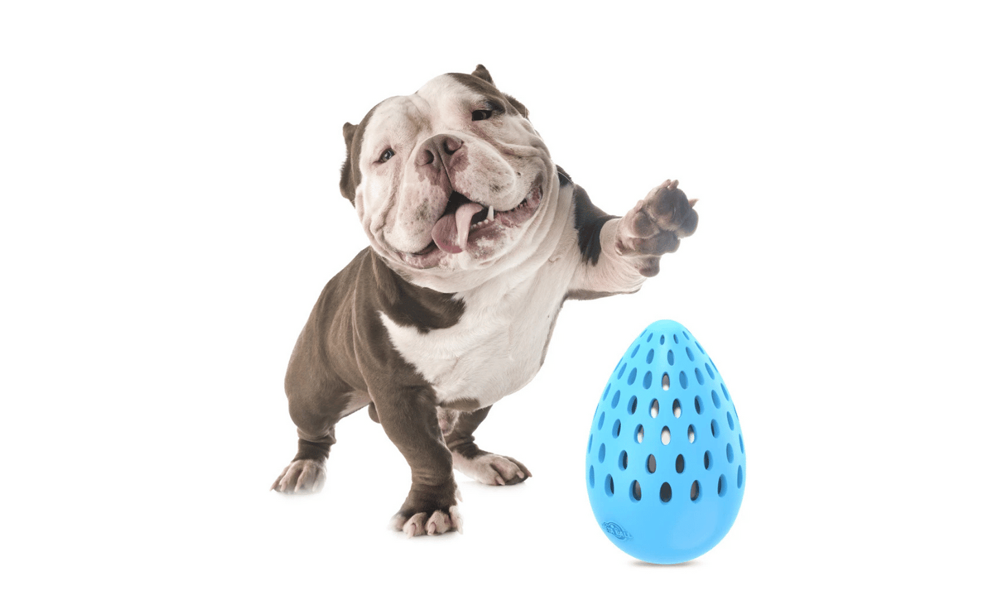 Holey Egg