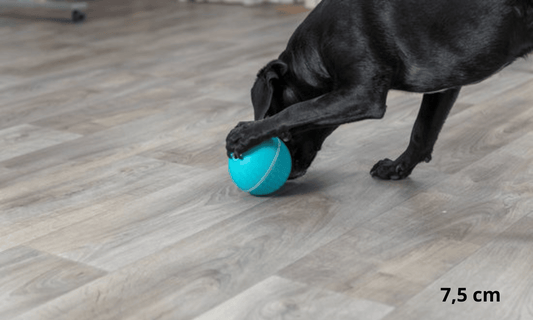 Snackbal 7.5cm - vaatwasserbestendig