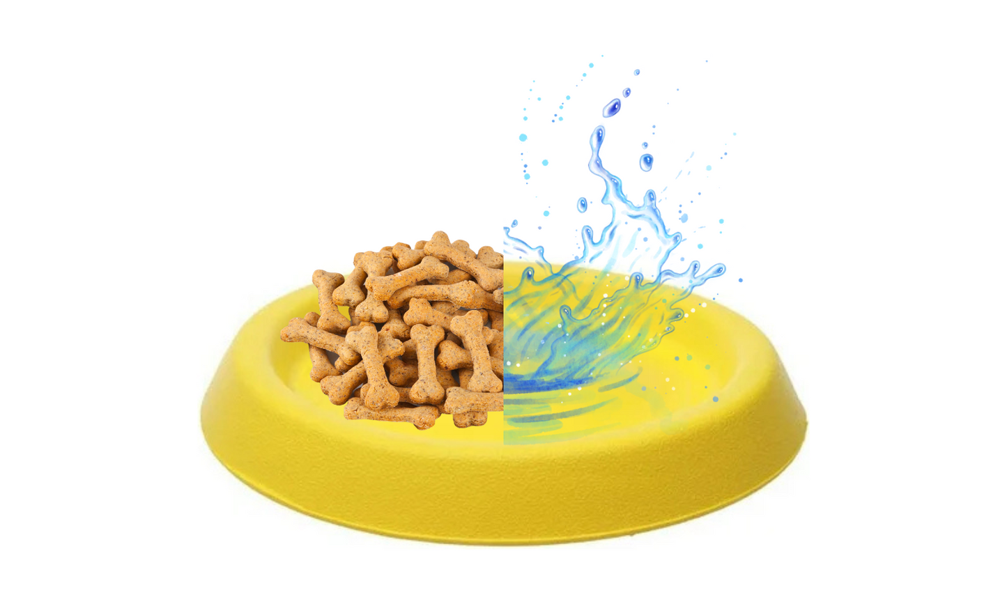 Starmark - Frisbee Easy Glider
