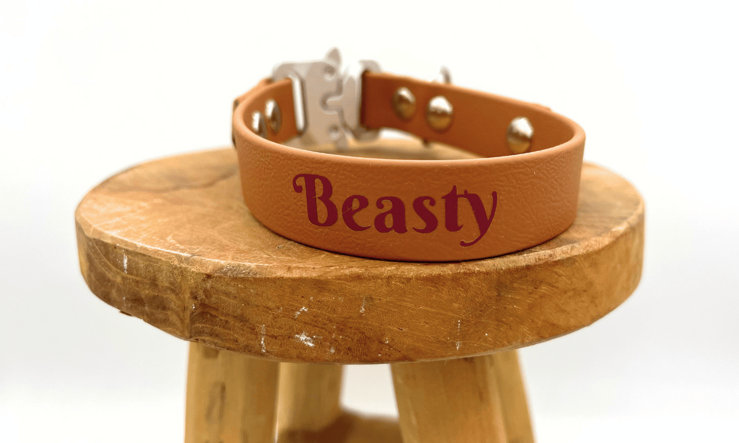 BioThane honden halsband - Klikgesp