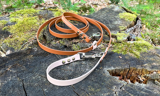 Verstelbare en handsfree 7 in 1 hondenriem BioThane