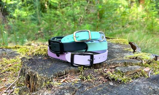 BioThane honden halsband - Verstelbaar met gesp