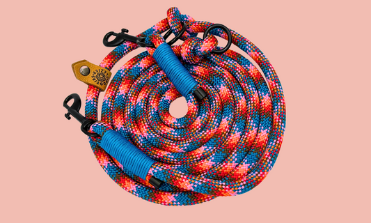 🐦 Ijsvogel - Hondenriem touw (7-in-1)