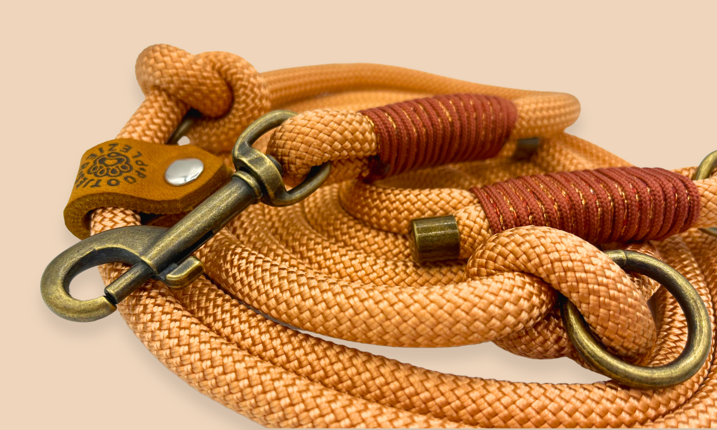 Verstelbare en handsfree 8 in 1 hondenriem Touw - π« Karamel