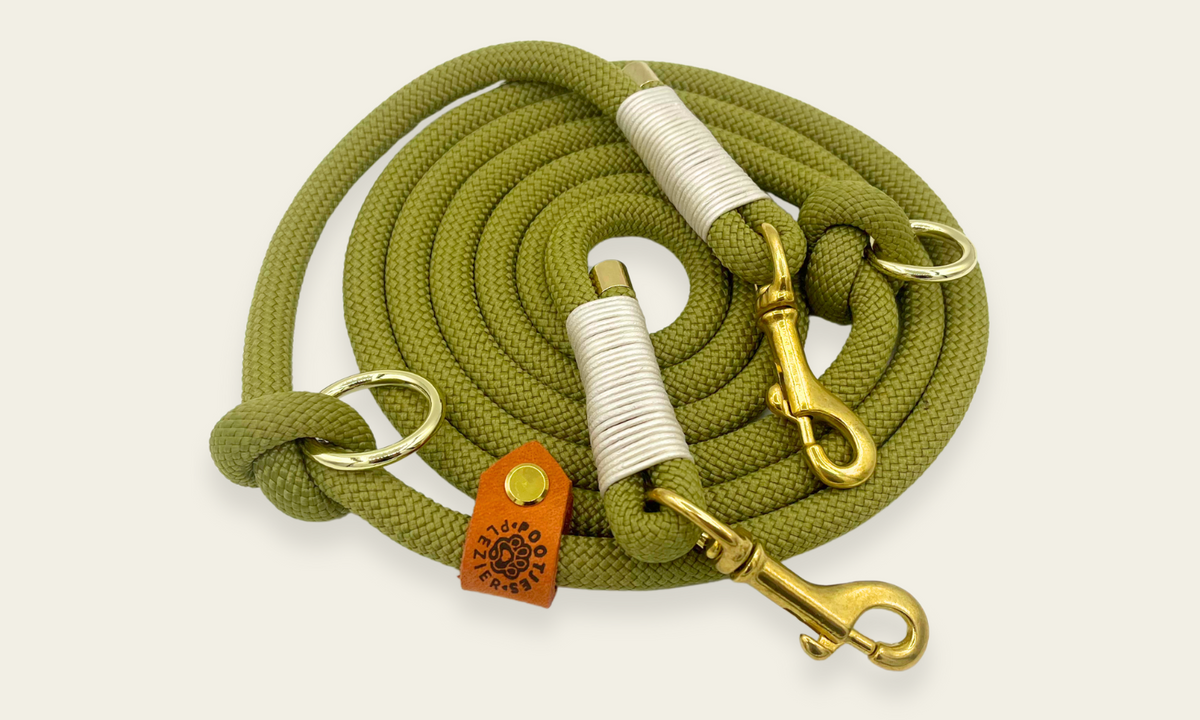 Verstelbare en handsfree 8 in 1 hondenriem Touw - ✨ Klassiek