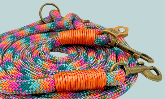 🪸 Koraal - Hondenriem touw (7-in-1)