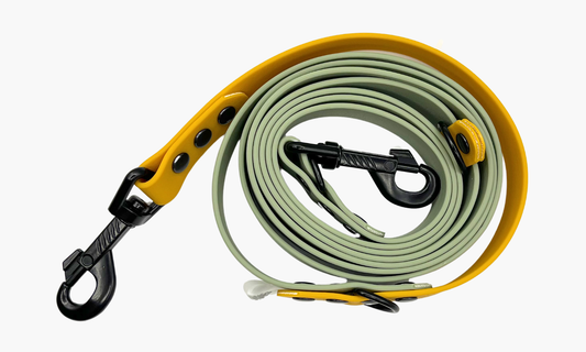 Mistgroen + Okergeel - Handsfree hondenriem 250cm | Tot 20kg