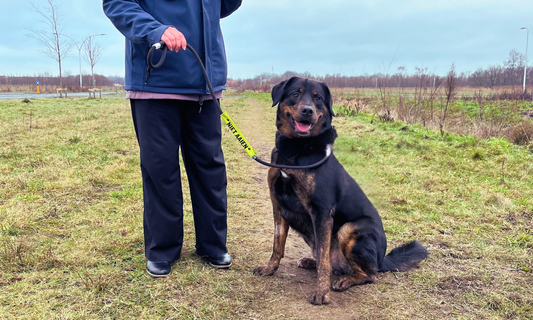 Vrouw met hond en neon geel waarschuwingslabel om haar hondenriem met de tekst in zwart 'niet aaien'