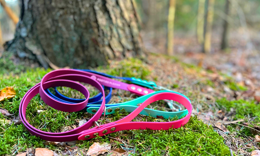 2 PawTex hondenriemen liggen in het mos in het bos