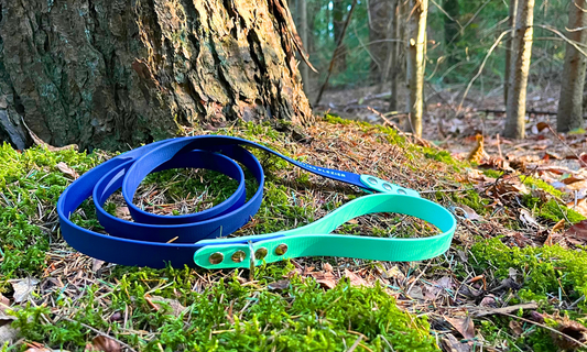 Klassieke hondenriem met vast handvat - BioThane (2-kleurig)