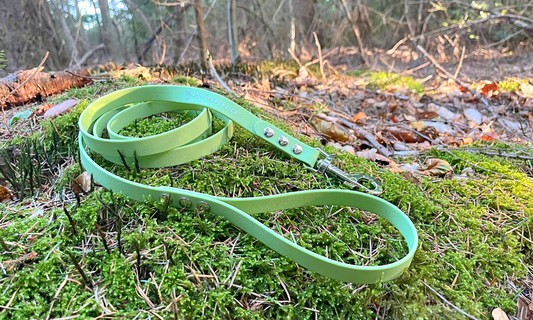 Basis hondenriem met vast handvat - PawTex (1-kleurig)