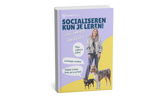 Socialiseren kun je leren! (PDF)