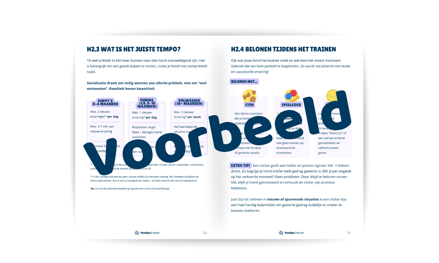 Socialiseren kun je leren! (PDF)