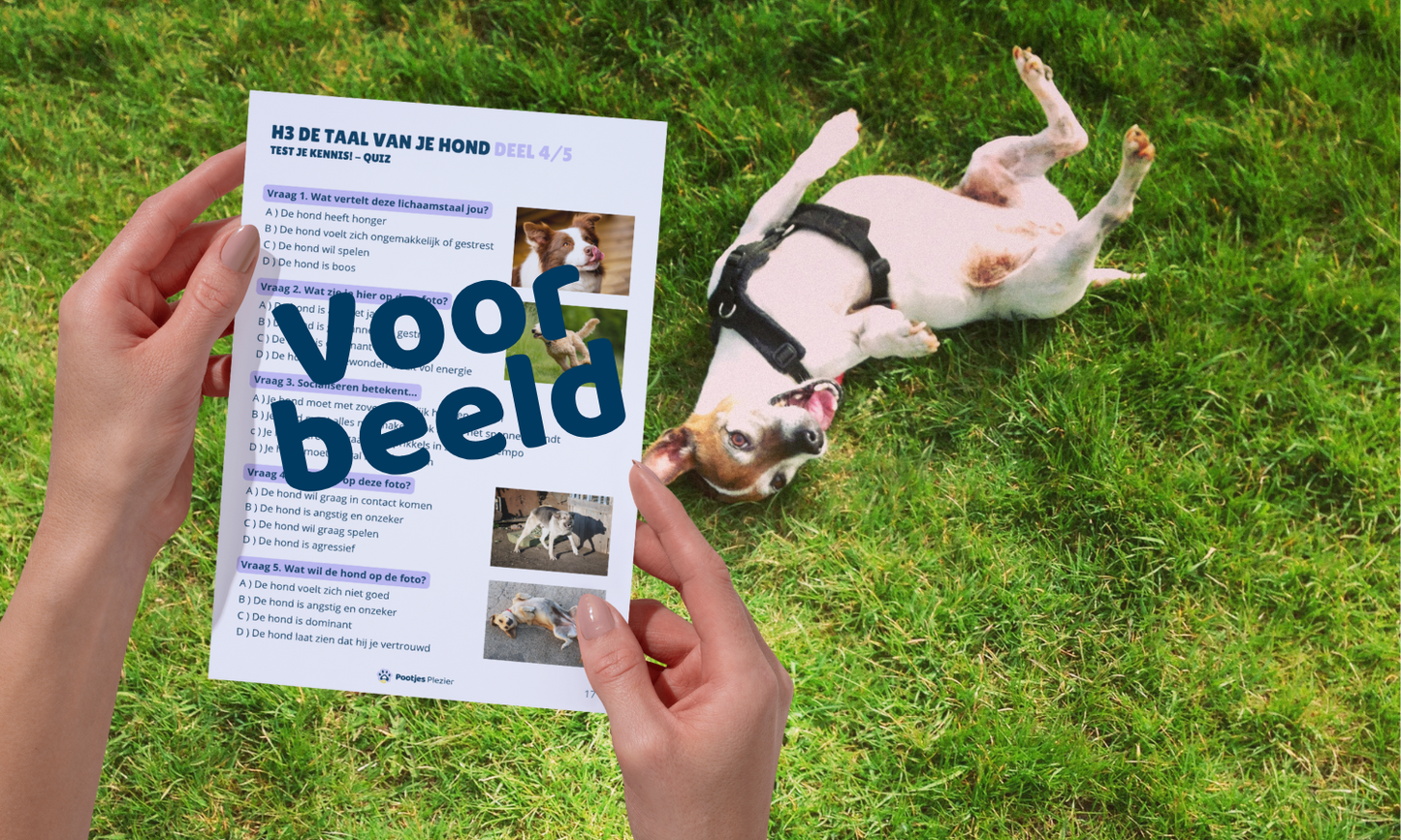 Socialiseren kun je leren! (PDF)