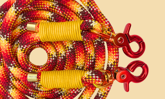 🔥 Vuur - Hondenriem touw (7-in-1)