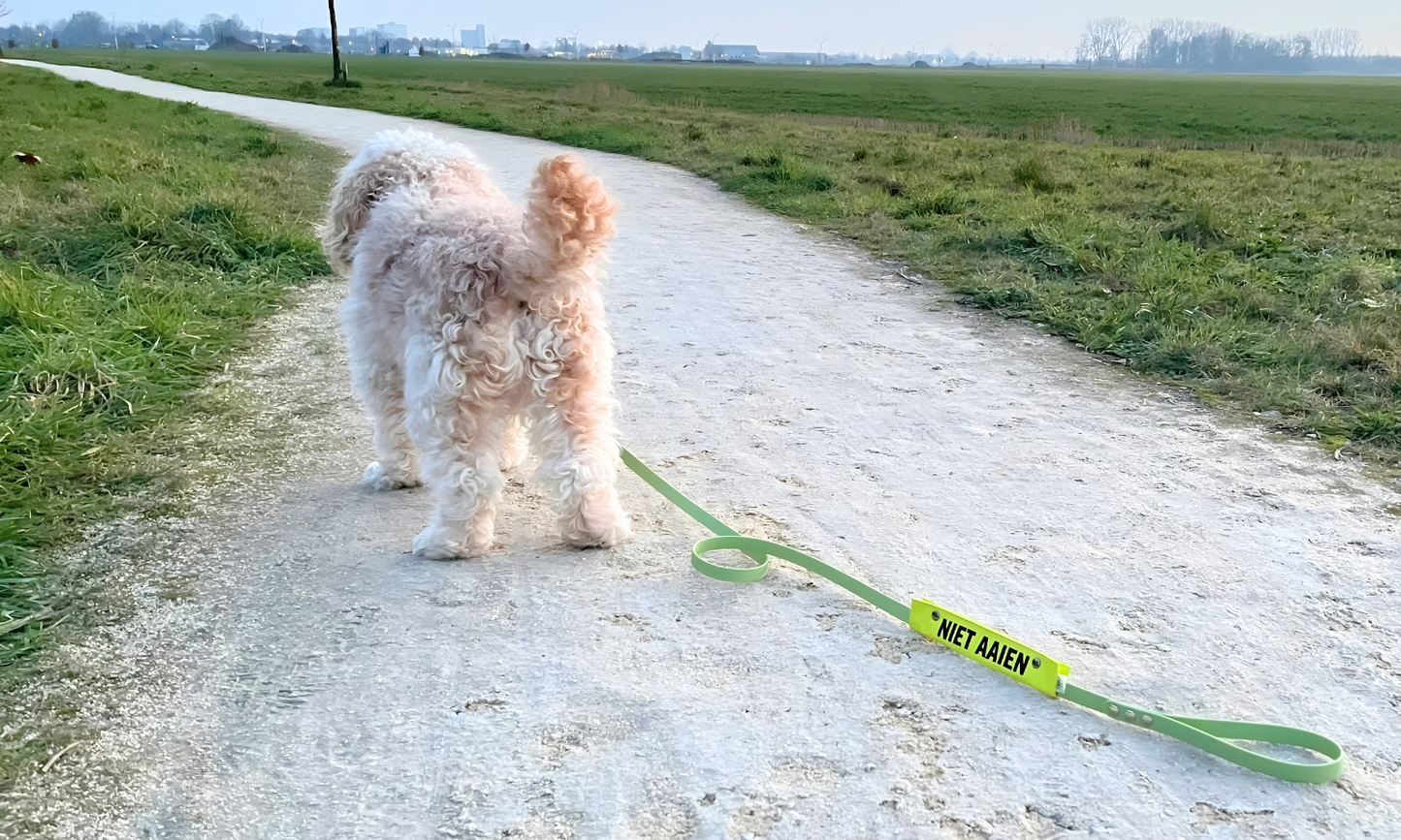 Tommie staat op een wandelpad wat dwars door een grasveld leid met een hondenriem waar een waarschuwingslabel om zit met de tekst 'niet aaien'