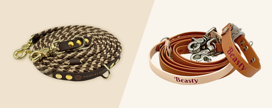 De voor- en nadelen van touw vs. BioThane/PawTex