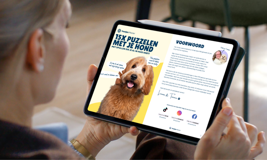 15x Puzzelen met je hond - Met spullen die je al in huis hebt! (PDF)
