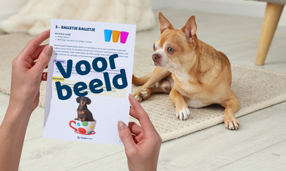 15x Puzzelen met je hond - Met spullen die je al in huis hebt! (PDF)