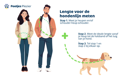 Touw hondenlijn - Zonnebloem