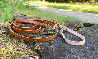 Handsfree multifunctionele PawTex hondenriem | Tot 50kg