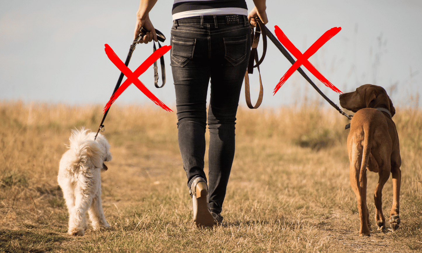 Dubbele hondenlijn adapter voor wandelen met 2 honden tegelijk