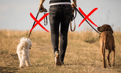 Dubbele hondenlijn adapter voor wandelen met 2 honden tegelijk