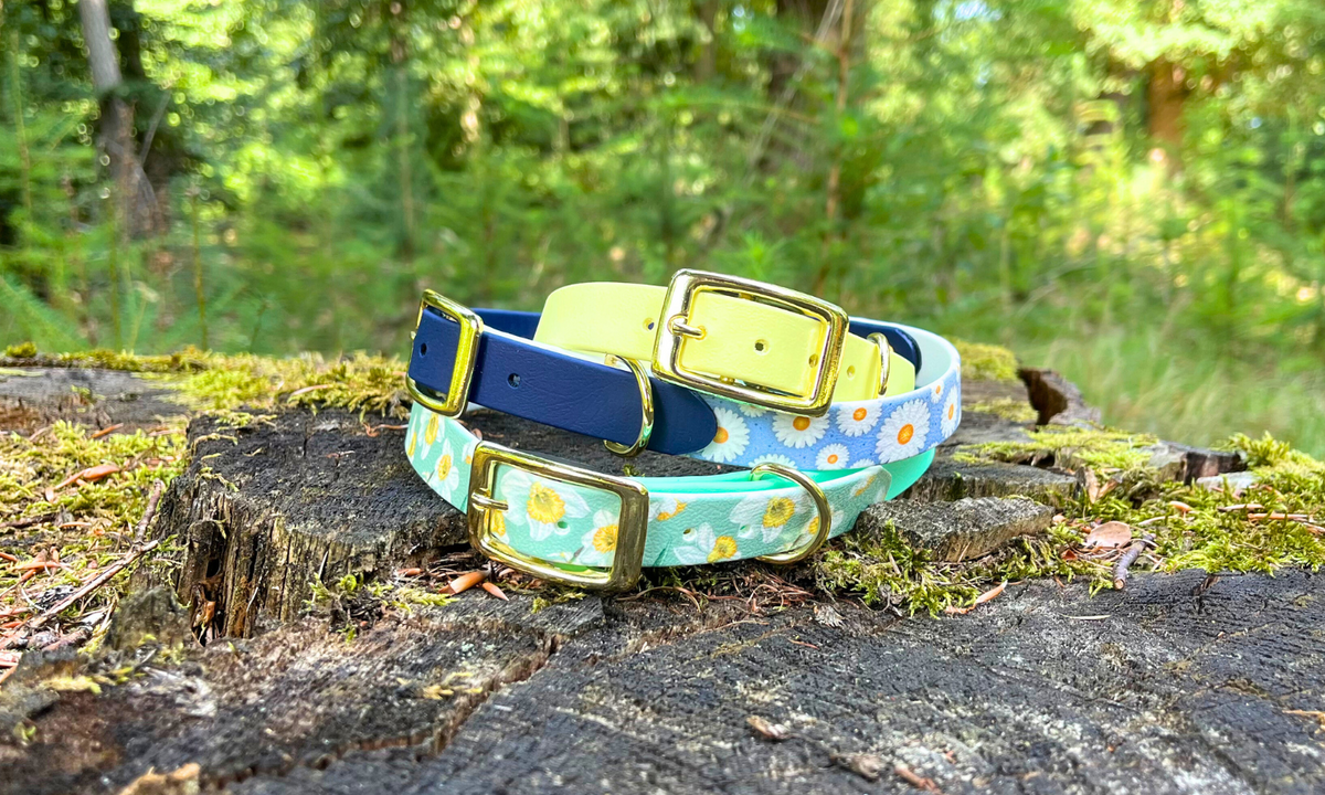 BioThane honden halsband - Gesp