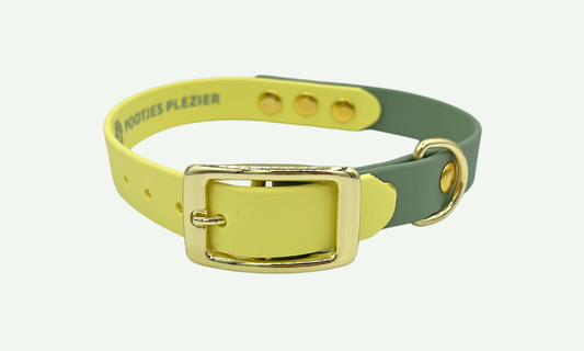 Lente - Halsband met gesp 30-36,5cm (tot 15kg)