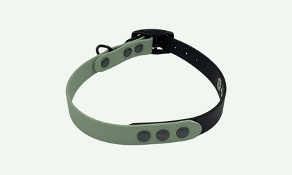 Honden halsband in de kleuren lichtgroen en zwart