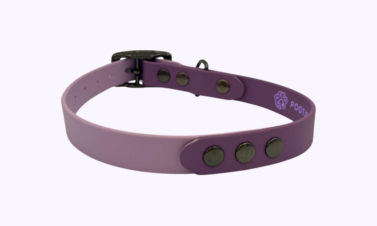 Lavendel - Halsband met gesp 34-40cm (tot 15kg)