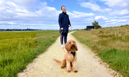 Handsfree multifunctionele PawTex hondenriem | Tot 50kg