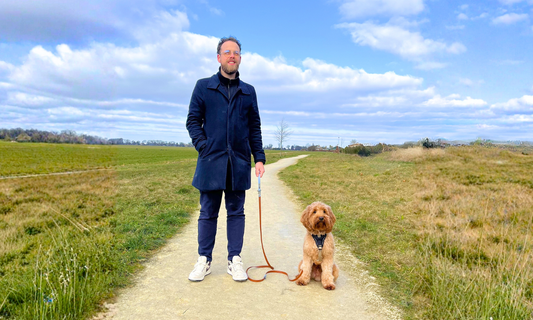 Handsfree multifunctionele Pawtex hondenriem | Tot 20kg