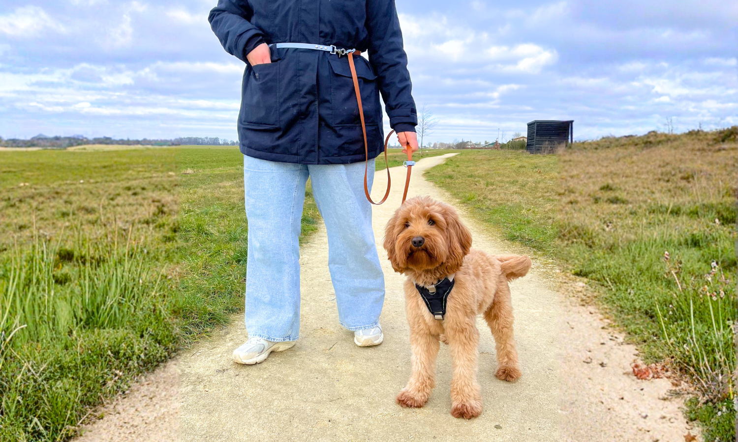Vrouw met hond en handsfree hondenriem om de heupen