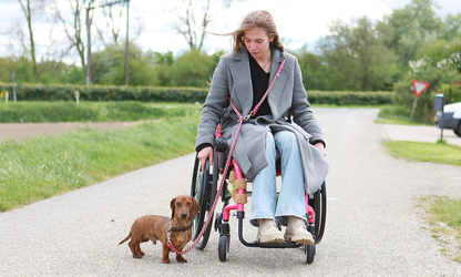 Handsfree multifunctionele touw hondenriem | Tot 35kg