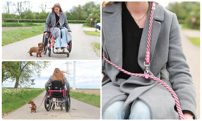 Handsfree multifunctionele touw hondenriem | Tot 35kg