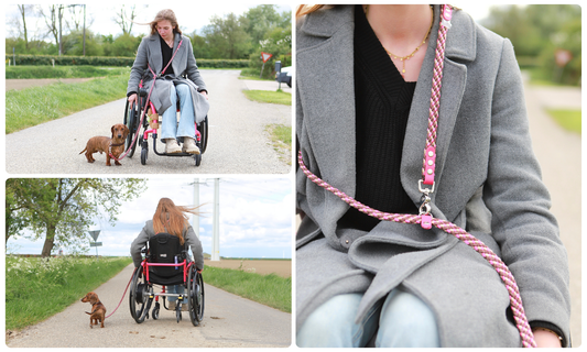 Handsfree multifunctionele touw hondenriem | Tot 50kg