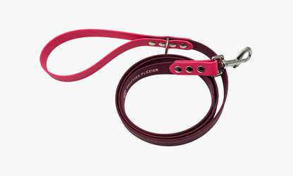 Hondenriem met handvat 150cm - tot 20kg