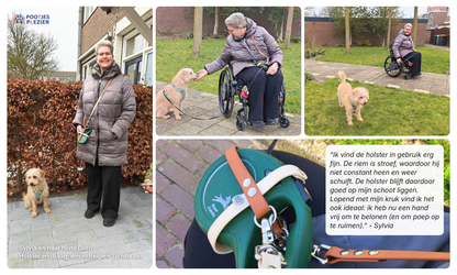 Een collage van 4 foto's van dame in rolstoel met haar hond die de holster met daarin een Flexi rollijn draagt