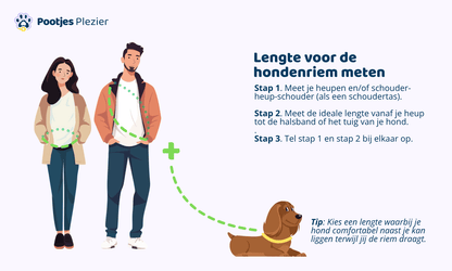 Verstelbare en handsfree 8 in 1 hondenriem Touw - 🐦 Ijsvogel