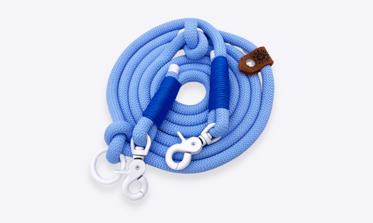 Verstelbare en handsfree 8 in 1 hondenriem Touw - 🧊 ijs